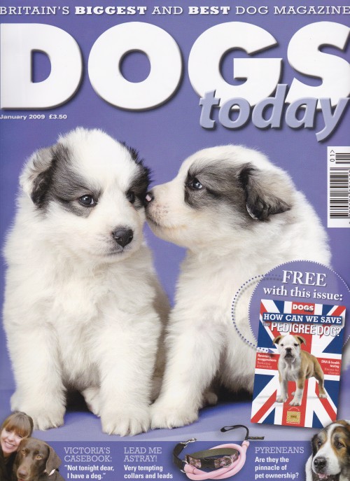 Dogs_Today_Magazine